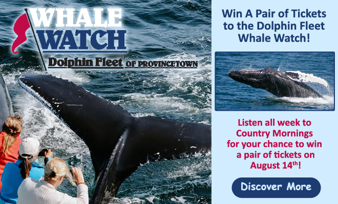 Win a pair of tickets to the Dolphin Fleet Whale Watch!
