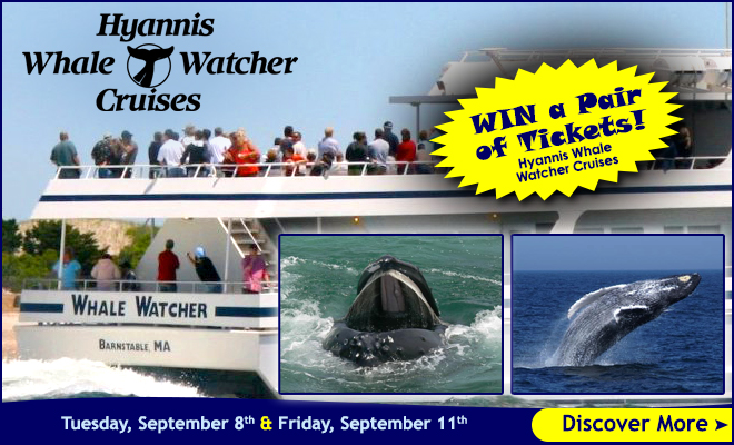 Win a Pair of tickets to the Hyannis Whale Watcher Cruises!